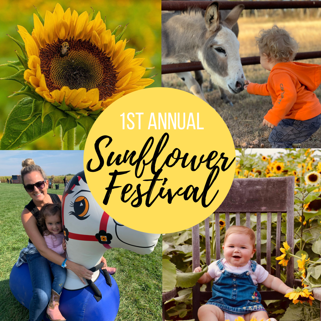 1st Annual Sunflower Festival at Western Belle Farm