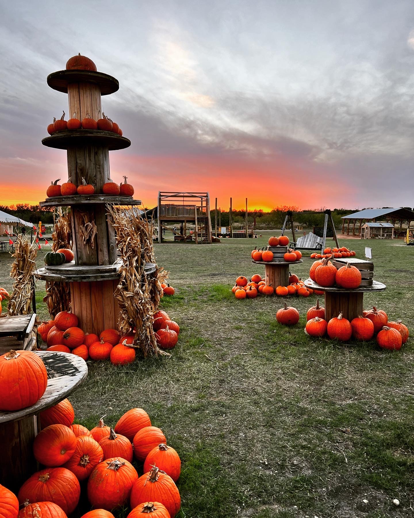 The end of the 2022 Pumpkin Festival