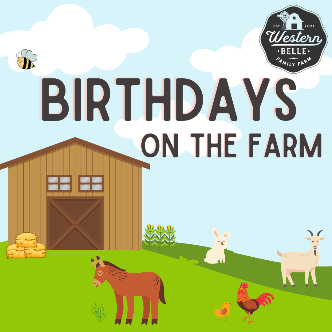 Birthday Barn Reservations now open!