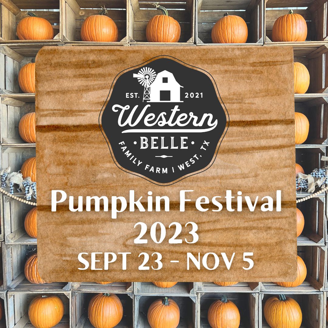 🎃 2023 Pumpkin Festival 🎃 Western Belle Farm