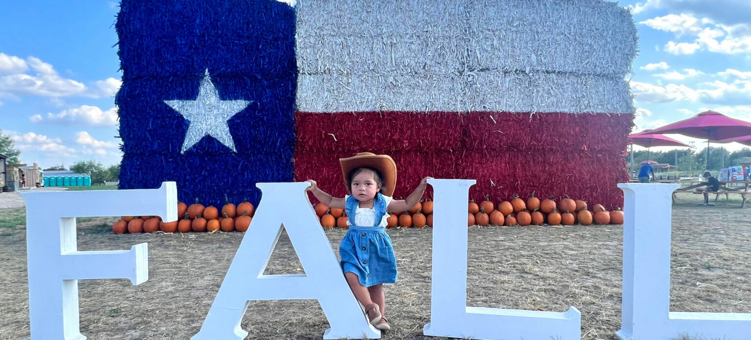 🍂🎃 UP NEXT AT THE FARM 🎃🍂 - Western Belle Farm