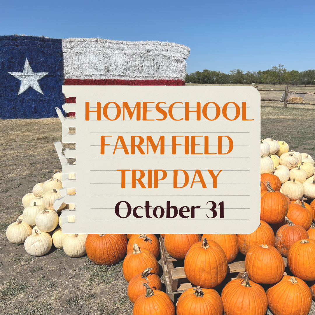 UPDATE: Homeschool Field Trip Day 10/31