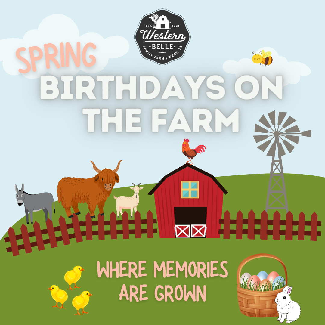 Birthday Barn Reservations Now Open!