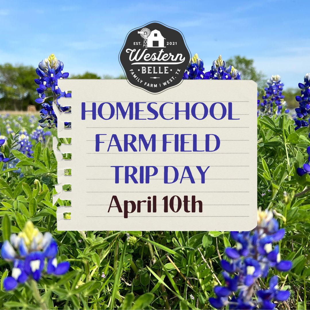 Homeschool Farm Field Trip Day
