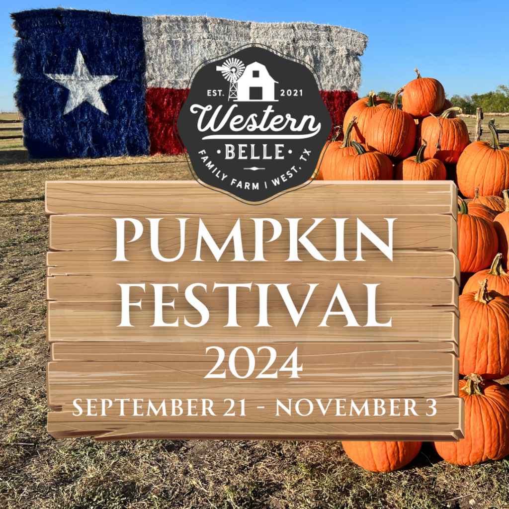 Pumpkin Festival 2024 Western Belle Farm