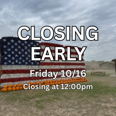 CLOSING EARLY DUE TO EXTREME WIND GUSTS 💨